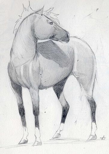 Photo de profil de erranai