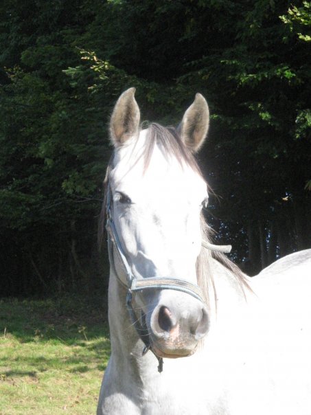 Photo de profil de fliflou