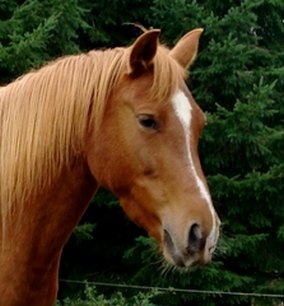 Photo de profil de ganda