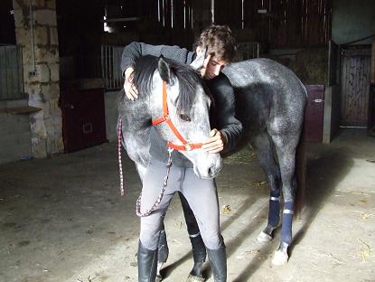 Photo de profil de gyosteo33