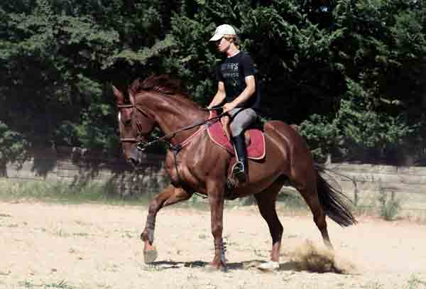 Photo de profil de isnard.chevaux