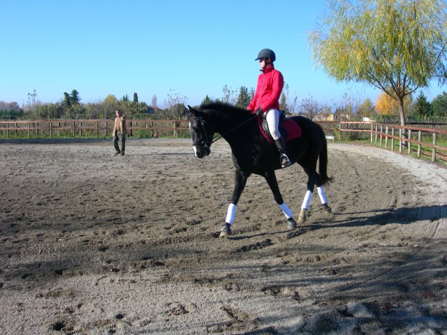 Photo de profil de jingletam