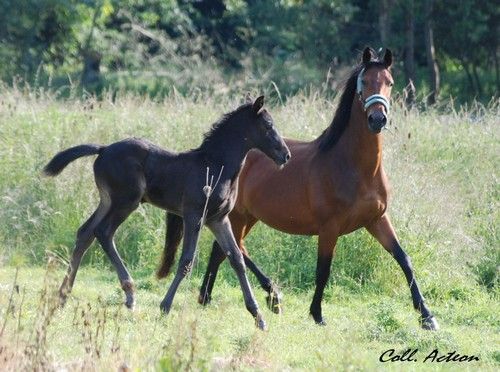 Photo de profil de jujess