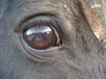 Photo de profil de juju09