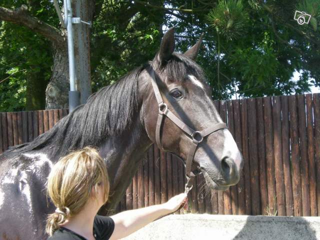 Photo de profil de k-reen91