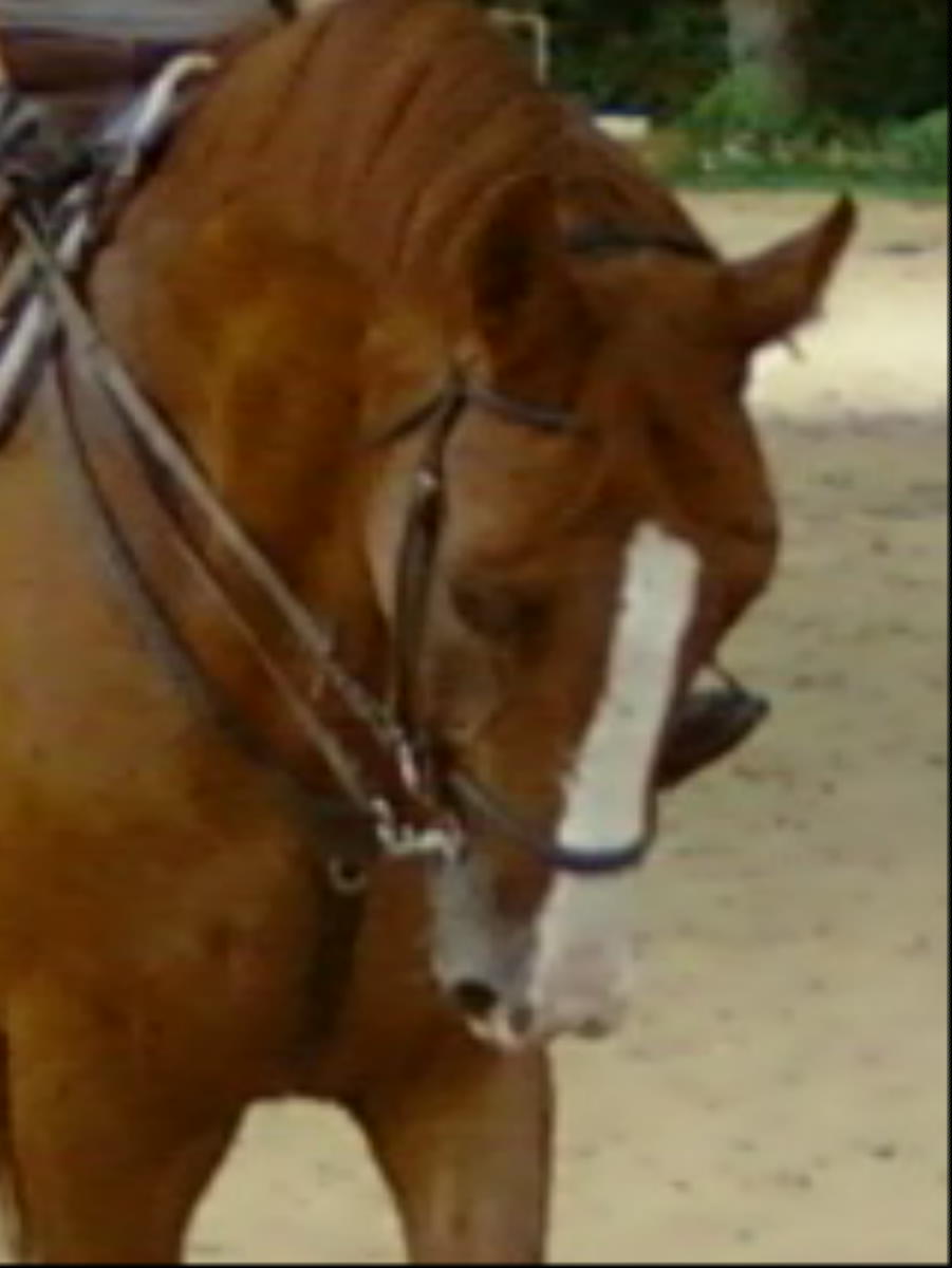 Photo de profil de laptitemiss