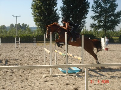 Photo de profil de lesmigues