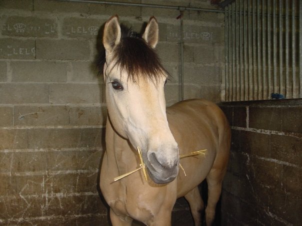Photo de profil de lila1205