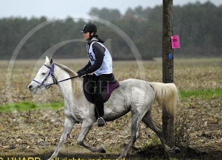 Photo de profil de ludy33