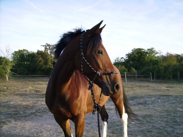 Photo de profil de lunaska78