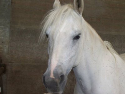 Photo de profil de maduland
