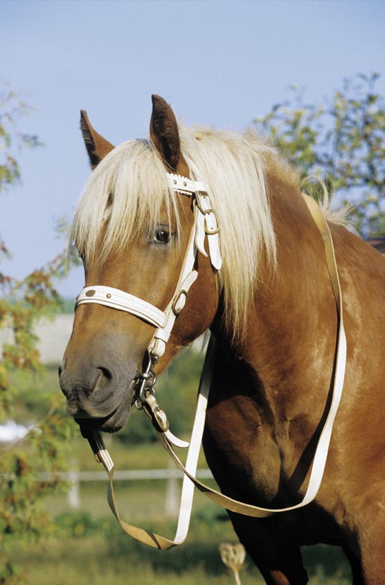 Photo de profil de marine141