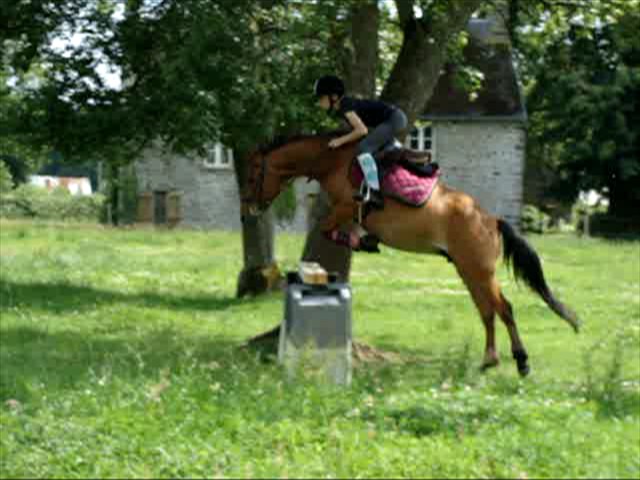 Photo de profil de meellanie