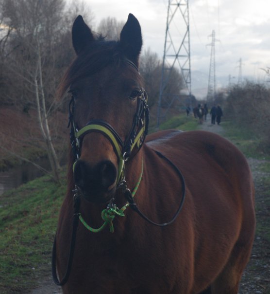 Photo de profil de melene