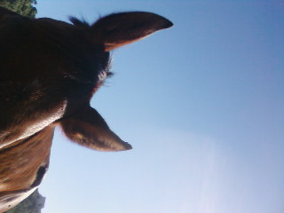 Photo de profil de micracra