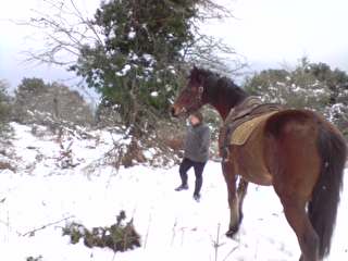 Photo de profil de mjc12b