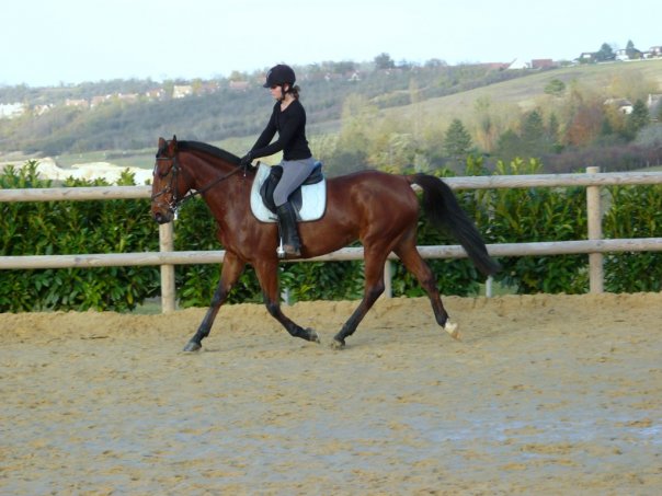 Photo de profil de mrevelli