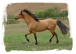 Photo de profil de opaline57