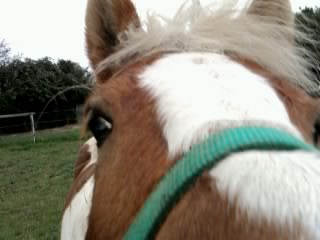 Photo de profil de ouww-cx3