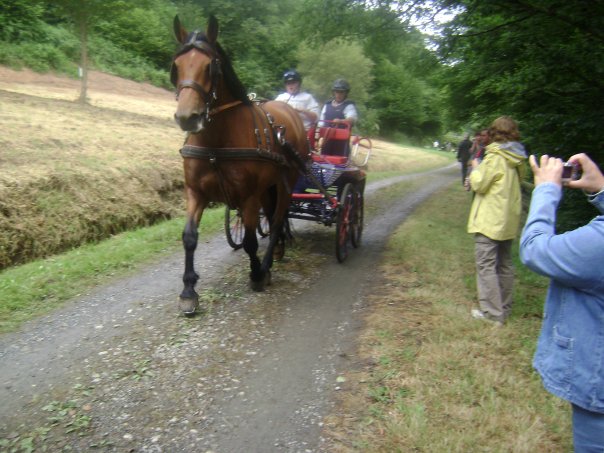 Photo de profil de polkine