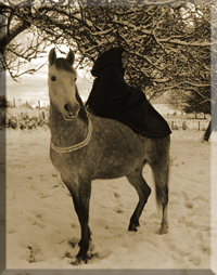 Photo de profil de popifol