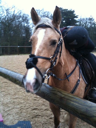 Photo de profil de punkyjune