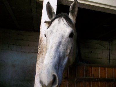 Photo de profil de reveimissyou