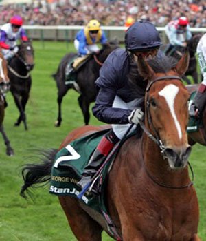 Photo de profil de s***