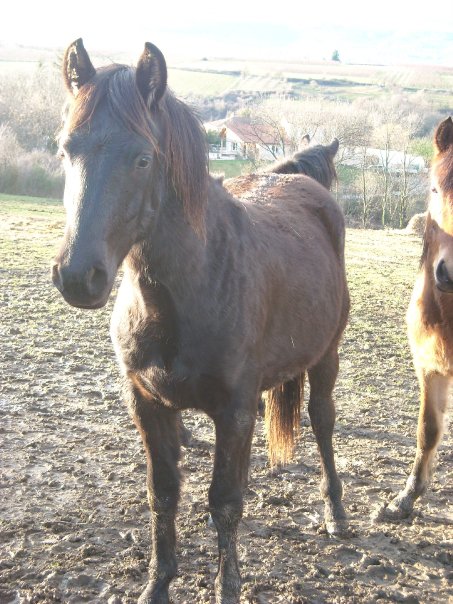 Photo de profil de sandramaestro