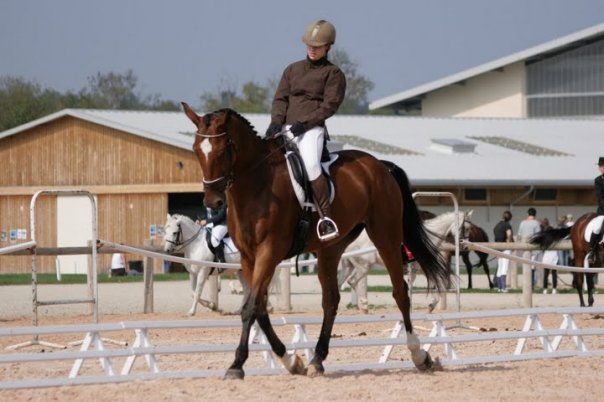 Photo de profil de siigo