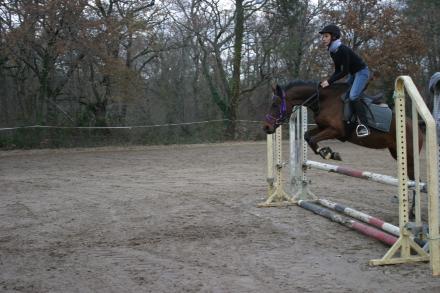 Photo de profil de siobhan