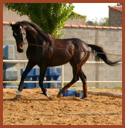 Photo de profil de soir