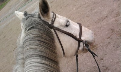 Photo de profil de solacia96