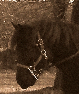 Photo de profil de typho