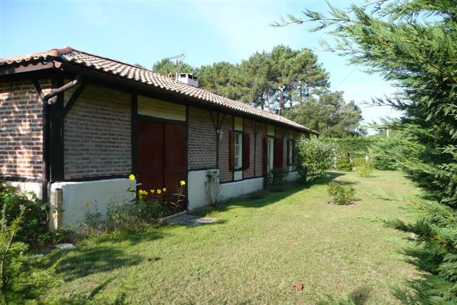 Photo de profil de ulrich