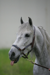 Photo de profil de yahelle974