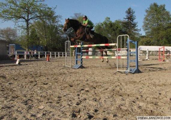 Photo de profil de hmb77150