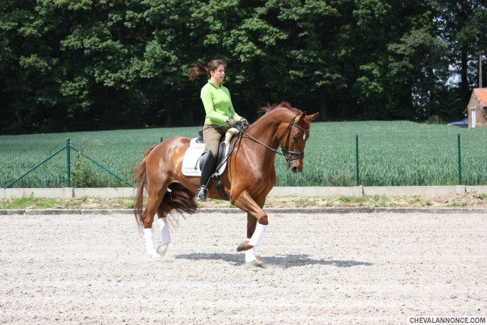 Photo de profil de stephaniehaub