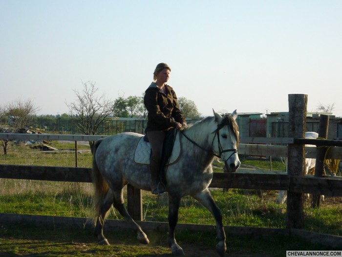 Photo de profil de dine21