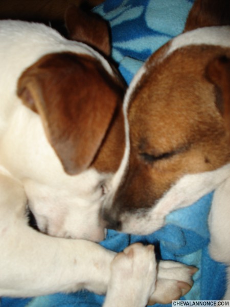 Photo de profil de lulu11