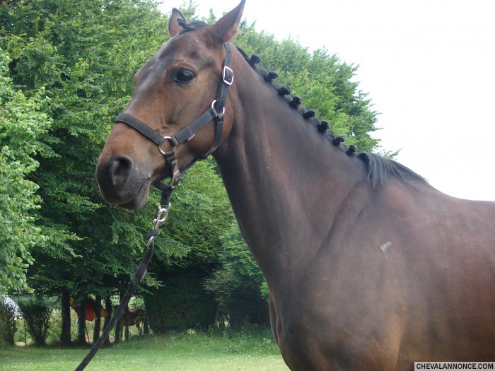 Photo de profil de micka27