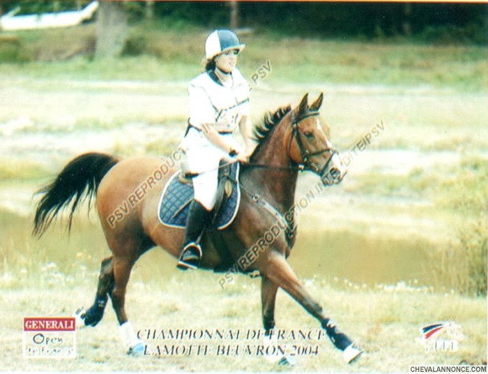 Photo de profil de asmocar