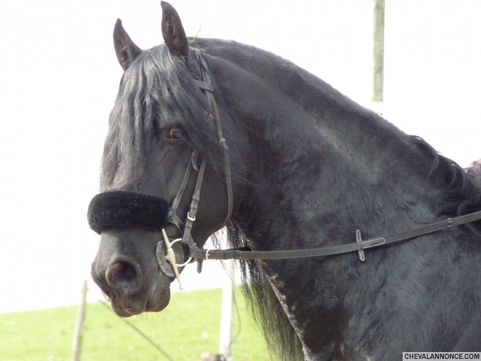 Photo de profil de jerke14