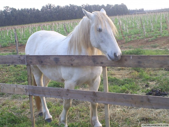 Photo de profil de caro1211
