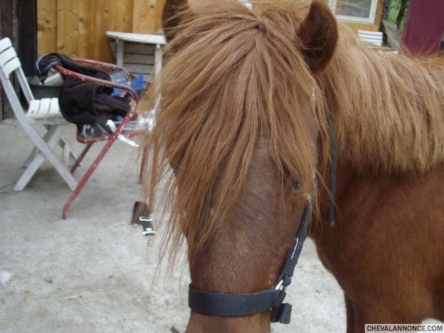 Photo de profil de savine