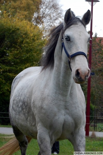 Photo de profil de fab08