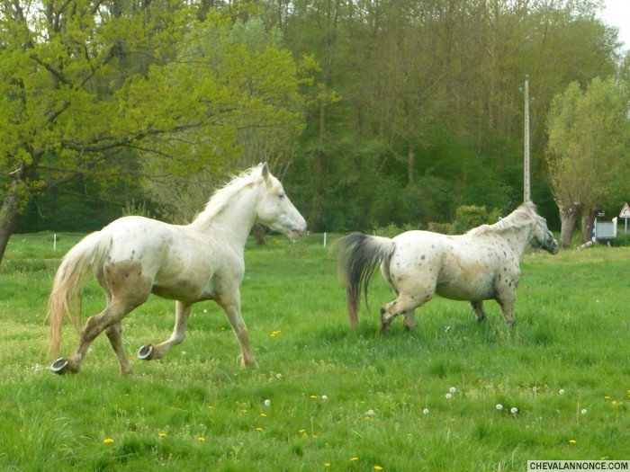 Photo de profil de romneya28