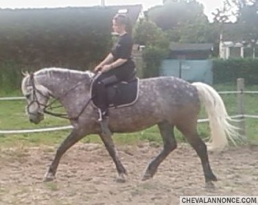 Photo de profil de bebse