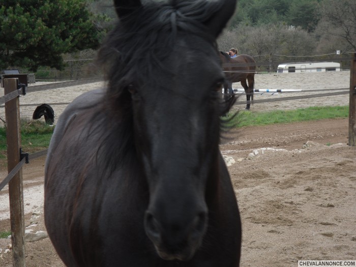 Photo de profil de ichean