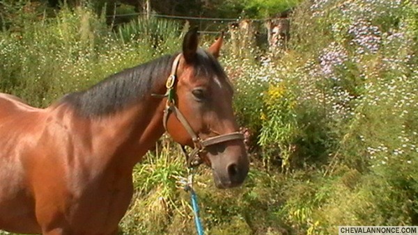 Photo de profil de a_xll